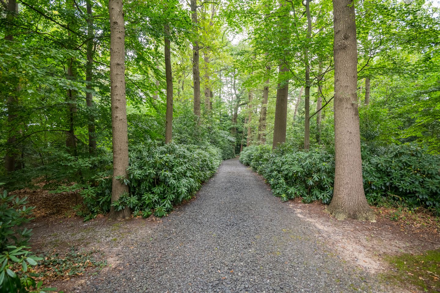 Foto 14 van Aaltenseweg 97-C