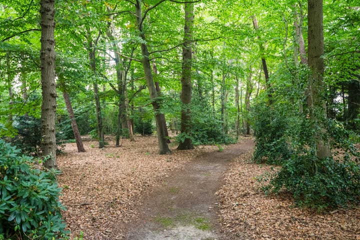 Foto 15 van Aaltenseweg 97-C