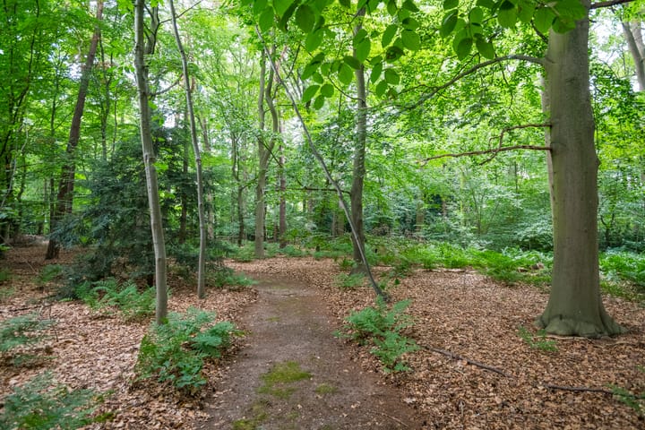 Foto 16 van Aaltenseweg 97-C