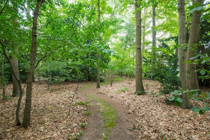 Foto 17 van Aaltenseweg 97-C