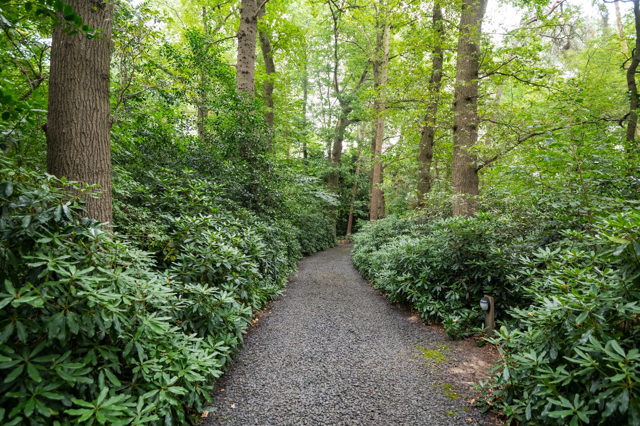 Foto 18 van Aaltenseweg 97-C