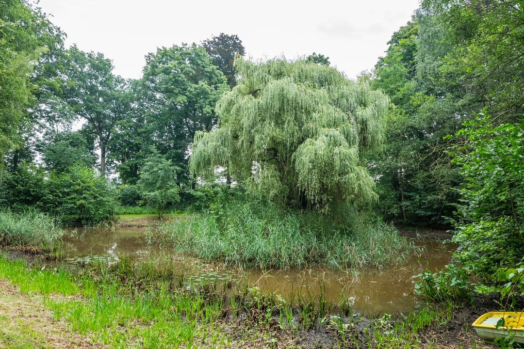 Foto 32 van Aaltenseweg 97-C