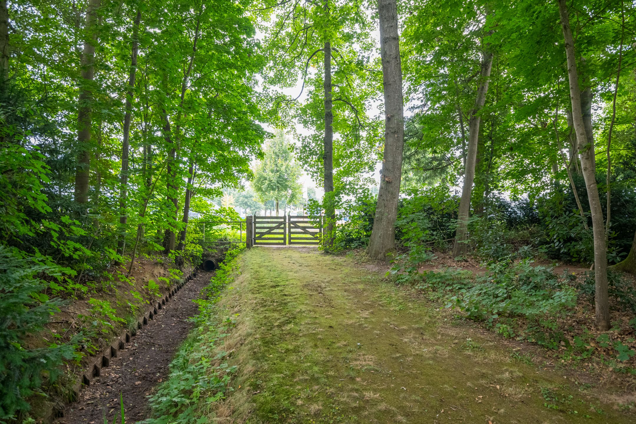 Foto 33 van Aaltenseweg 97-C