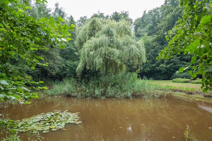 Foto 38 van Aaltenseweg 97-C