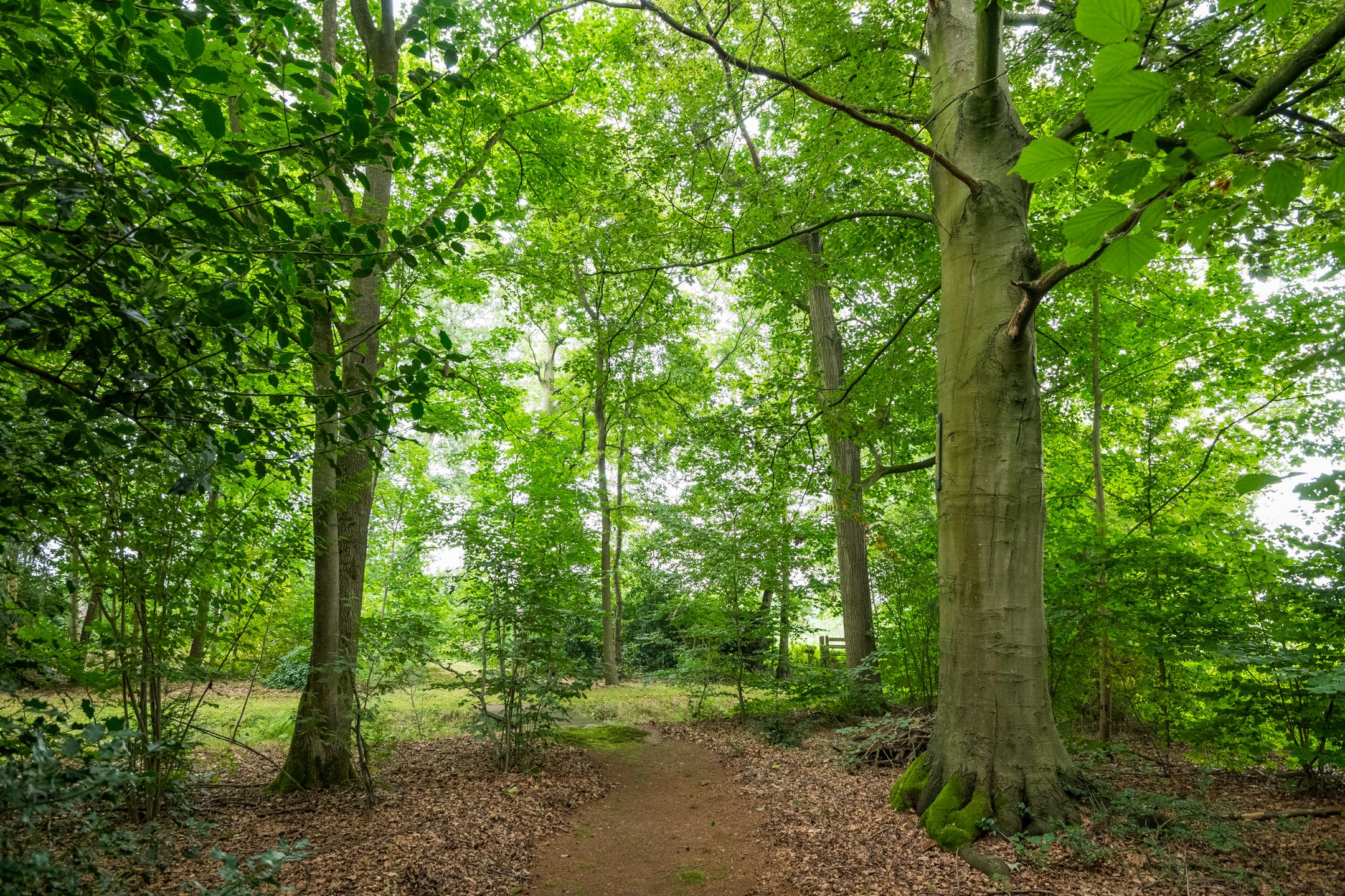 Foto 39 van Aaltenseweg 97-C