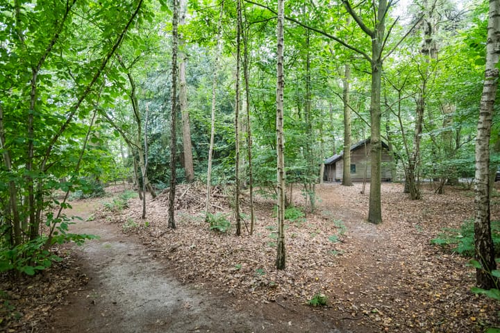 Foto 40 van Aaltenseweg 97-C