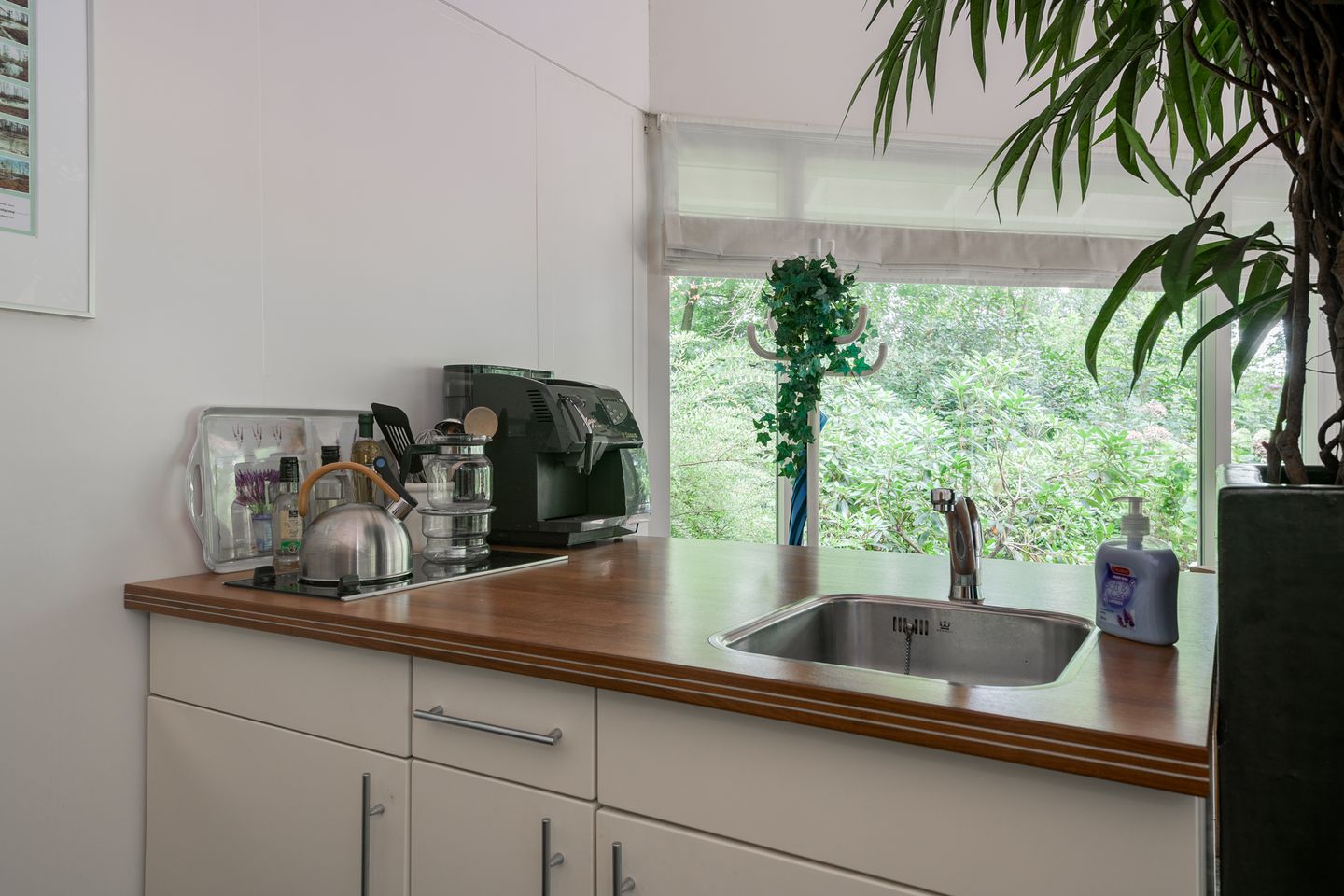 Foto 59 van Aaltenseweg 97-C