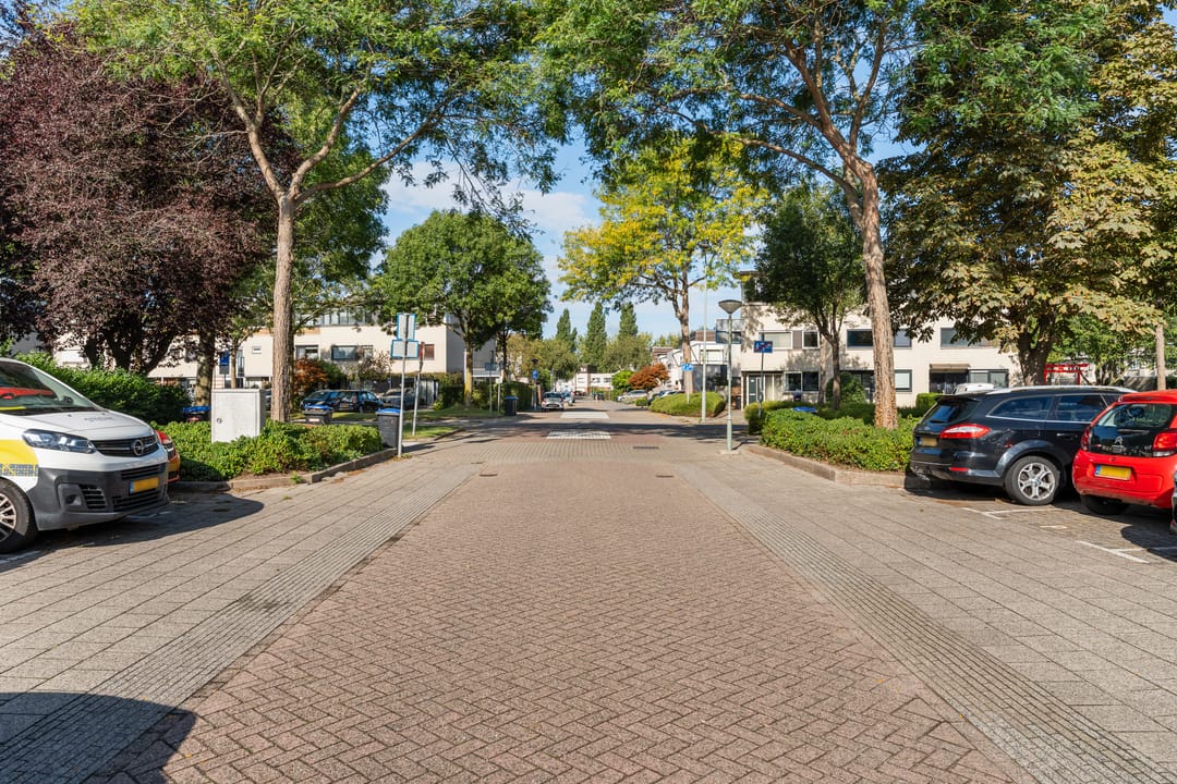 Foto 41 van Colorado 10