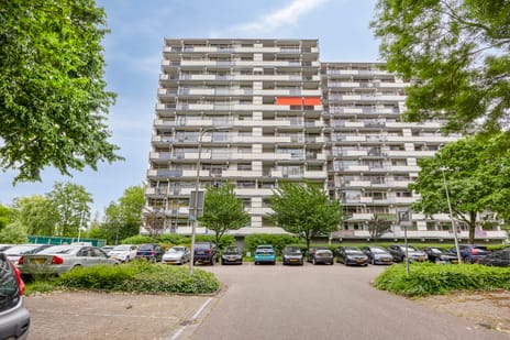 Akkerwinde thumbnail