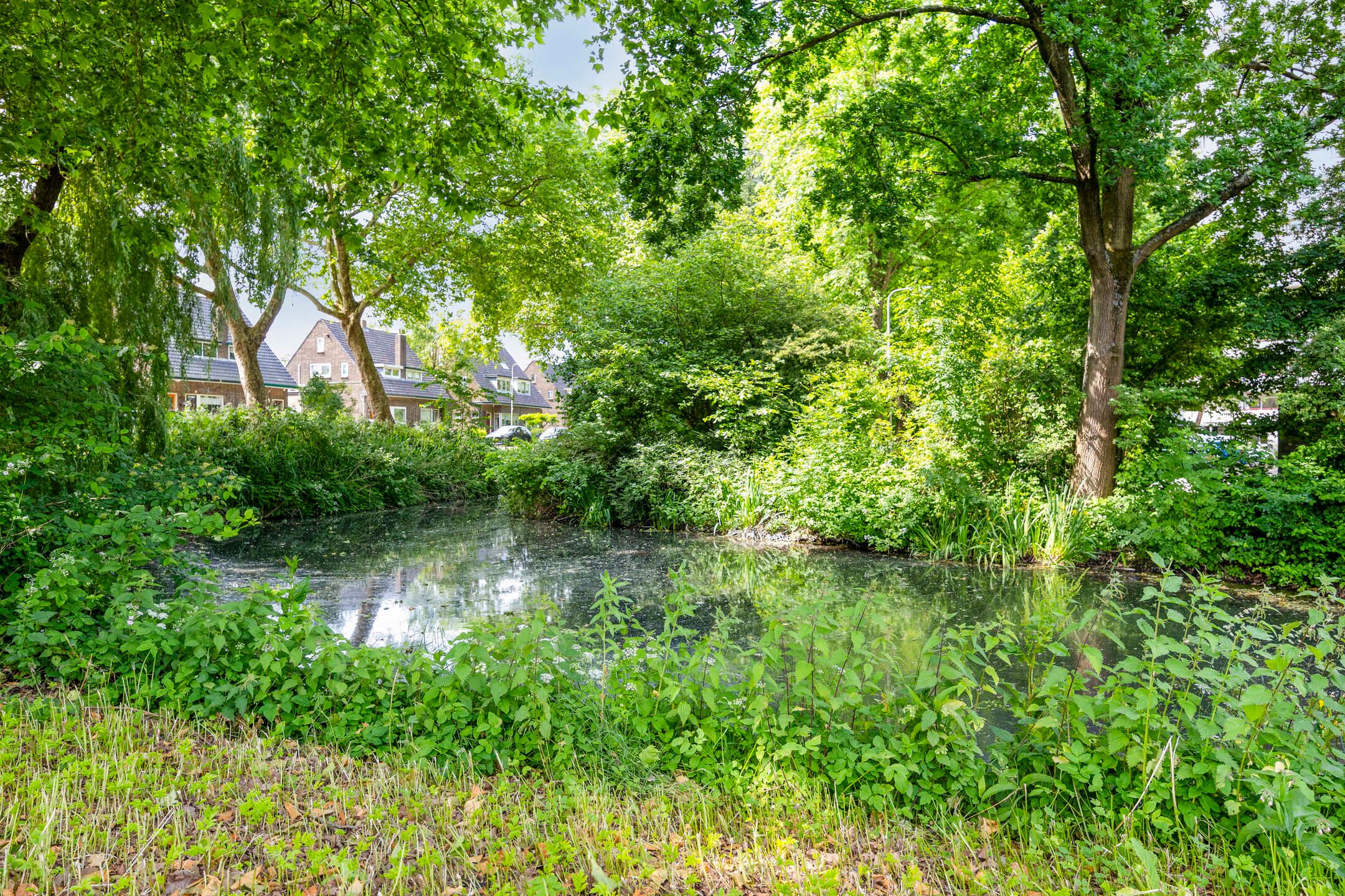 Foto 36 van Akkerwinde 333