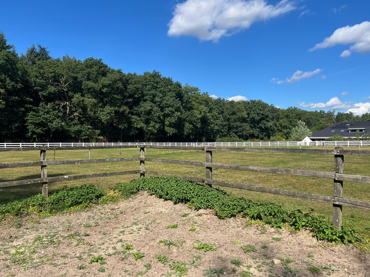 Foto 8 van Kemperbergerweg 703