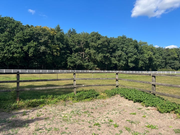 Foto 10 van Kemperbergerweg 703