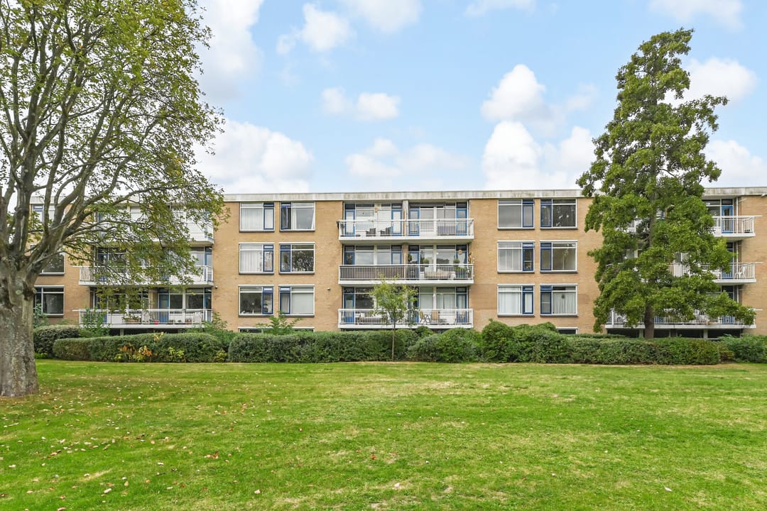 Foto 28 van Van der Haertstraat 18