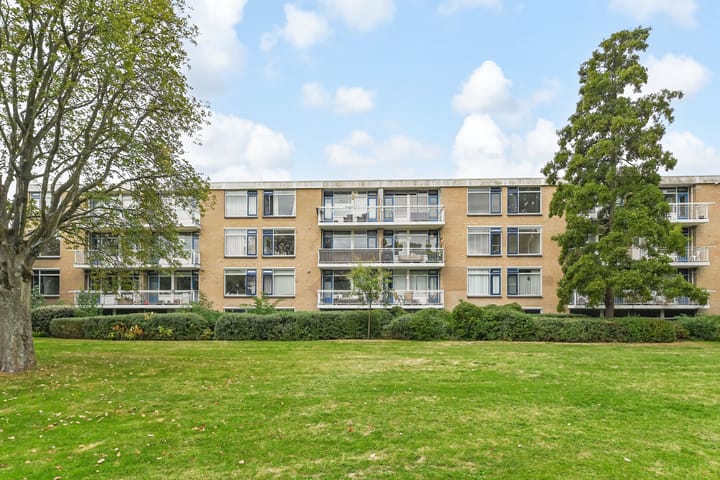 Foto 28 van Van der Haertstraat 18