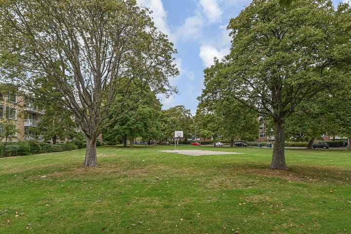 Foto 29 van Van der Haertstraat 18