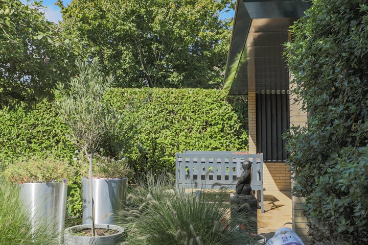 Foto 51 van Robert Stolzhof 122