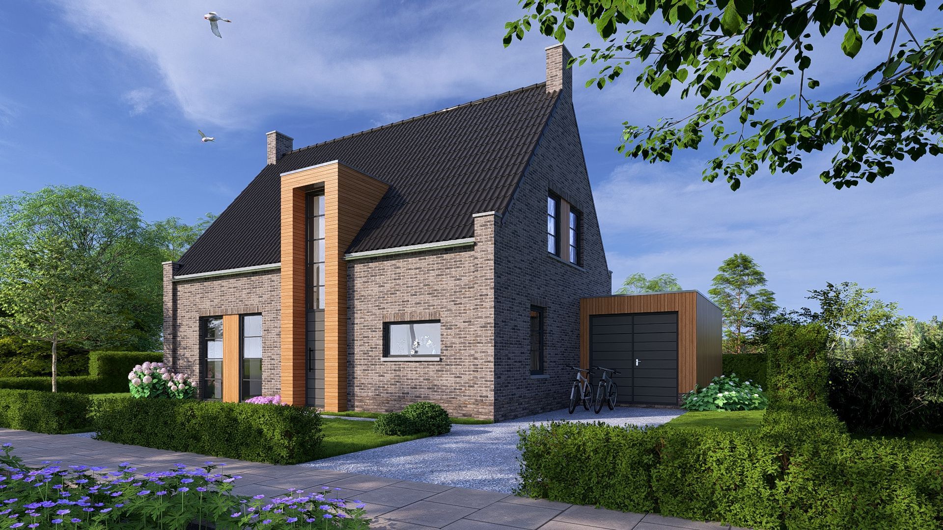 Dotterbloem, Angerlo, 6986DB, Gelderland, Nederland  