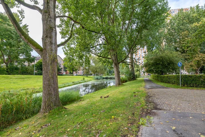 Foto 36 van Wilgenpad 1