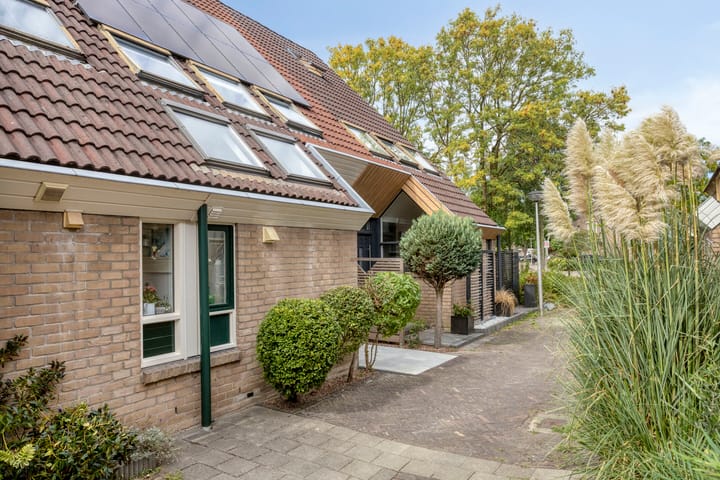 Foto 2 van Sonsbeek 3