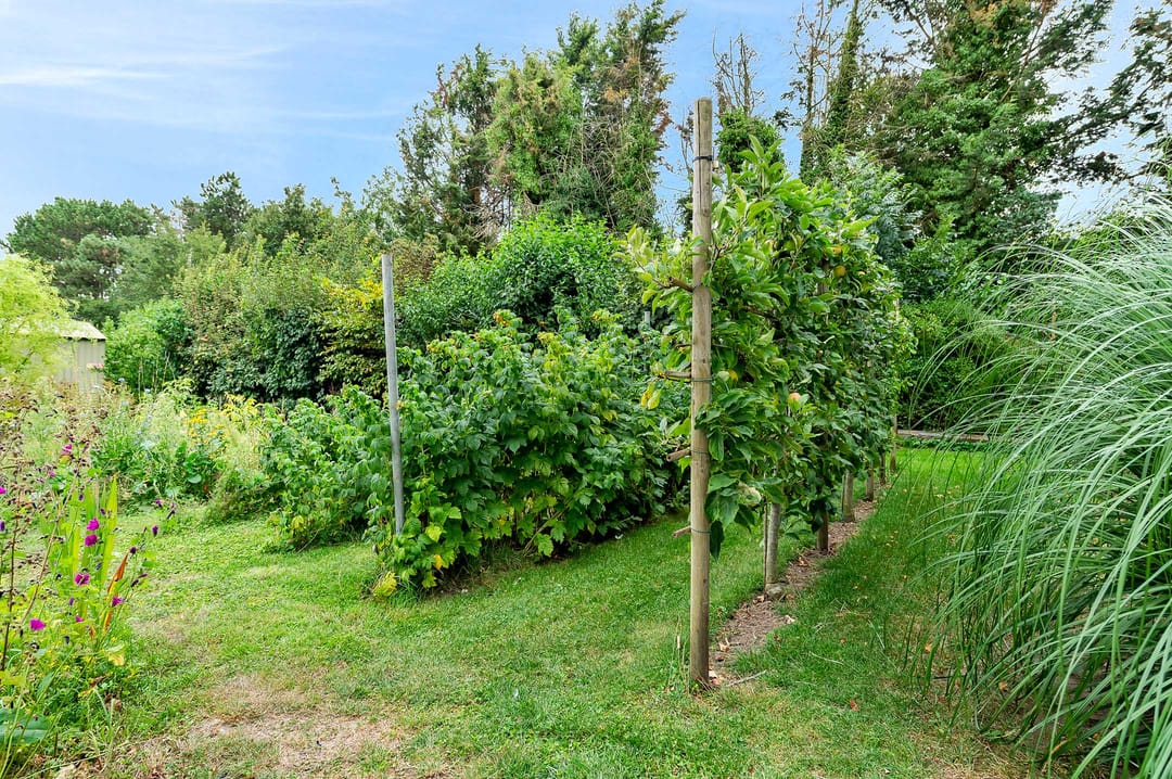 Foto 47 van Oudlandweg 8-A