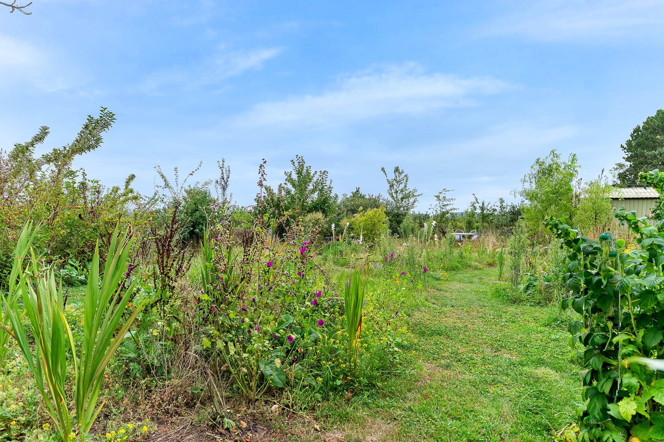 Foto 48 van Oudlandweg 8-A