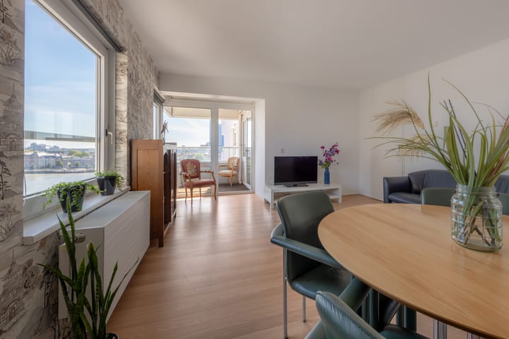 Foto 3 van Boompjes 446