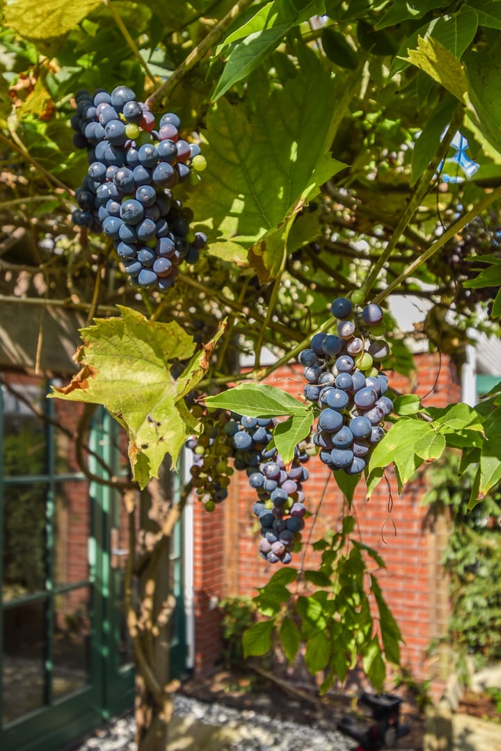 Foto 33 van De Windjager 27