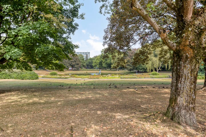 Foto 29 van Tienwoningenweg 8