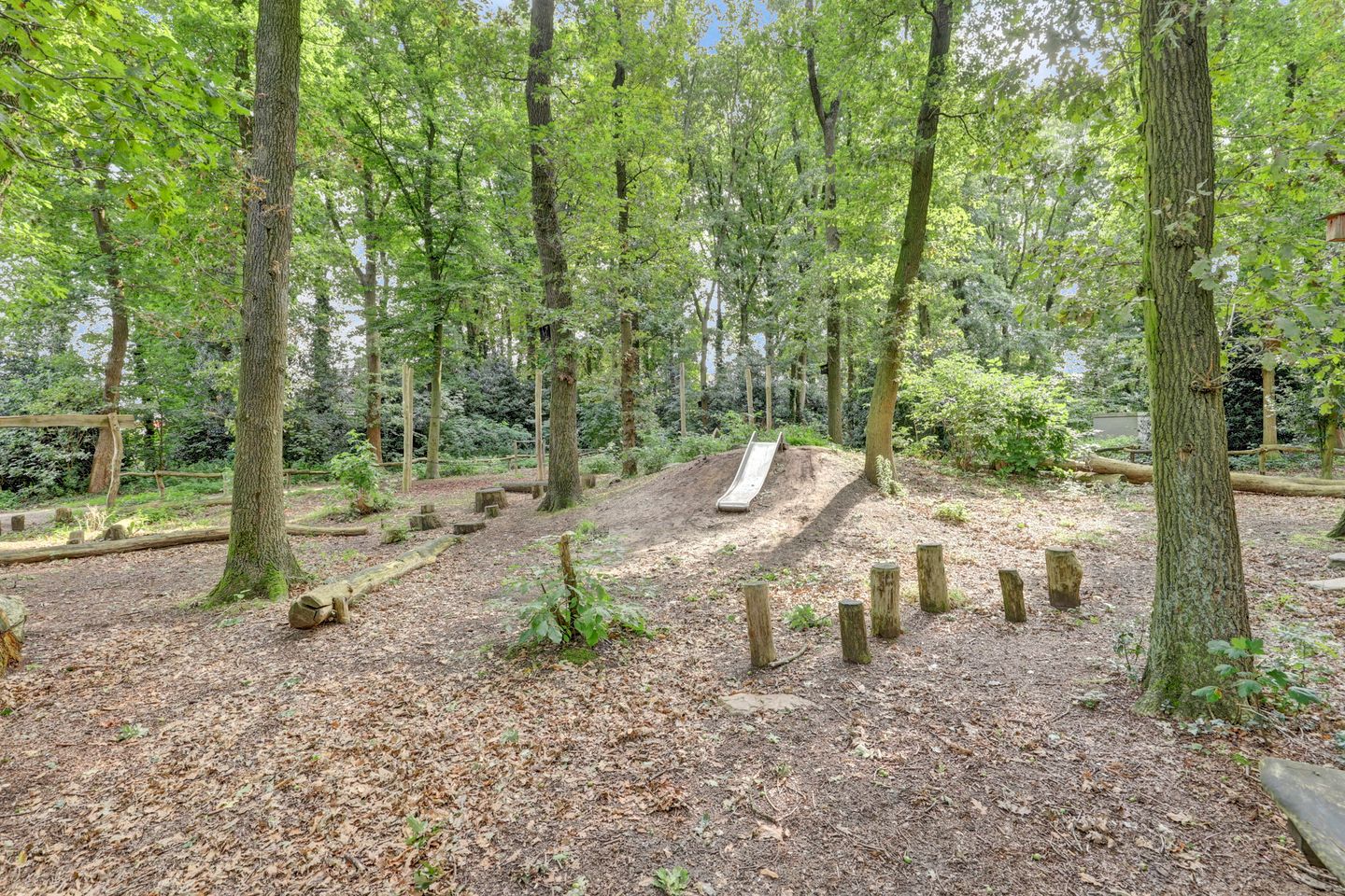 Foto 34 van Driesprong 1