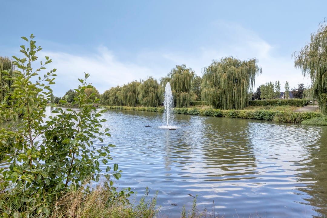 Foto 52 van Kraaienest 9