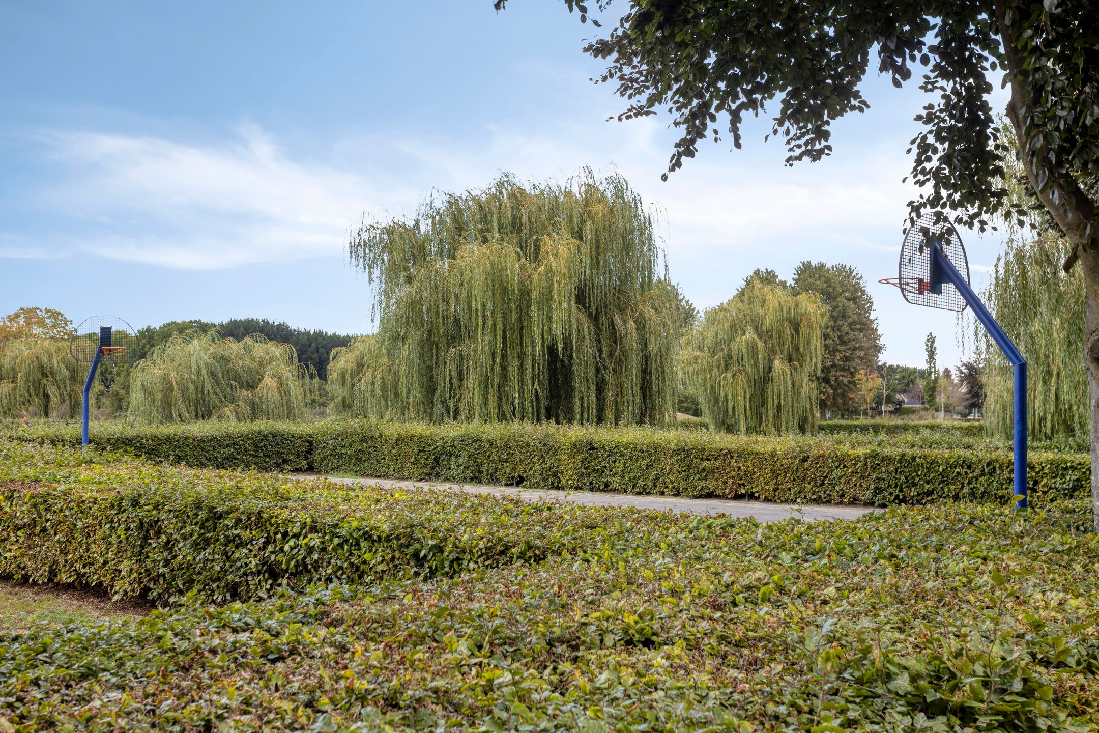 Foto 54 van Kraaienest 9