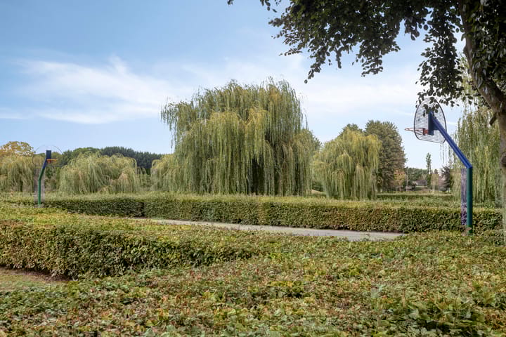 Foto 54 van Kraaienest 9