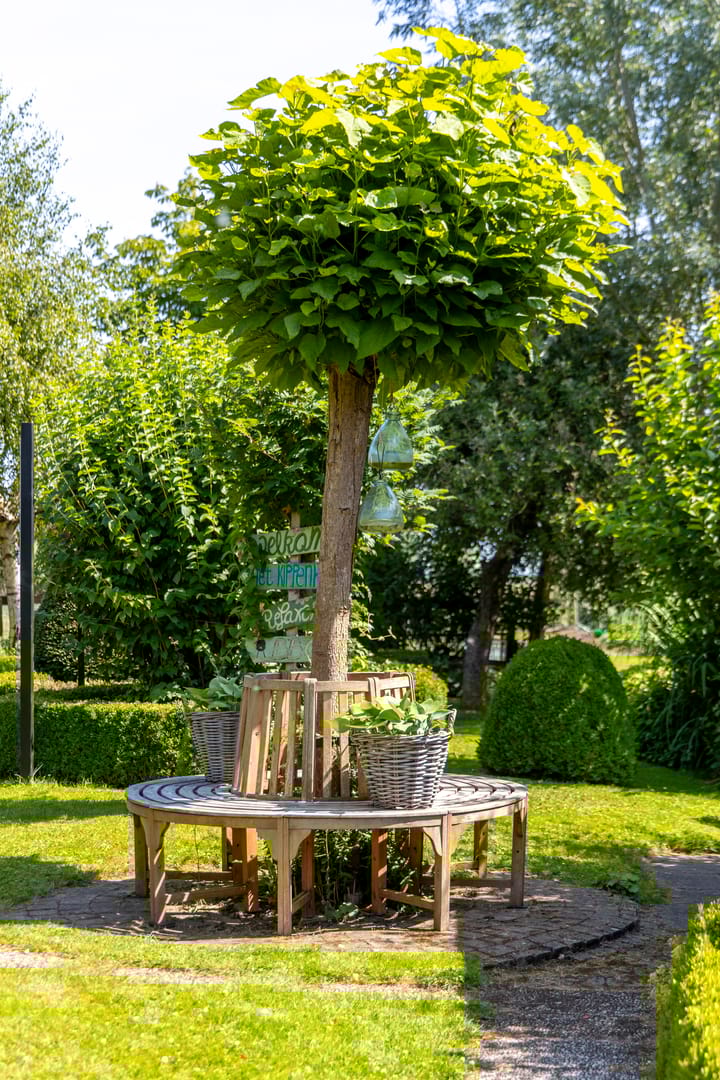 Foto 40 van Sluis 57