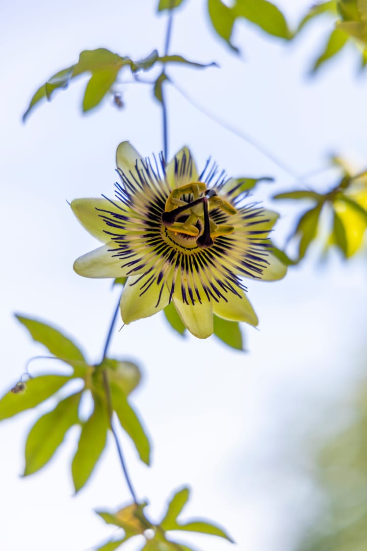 Foto 46 van Sluis 57