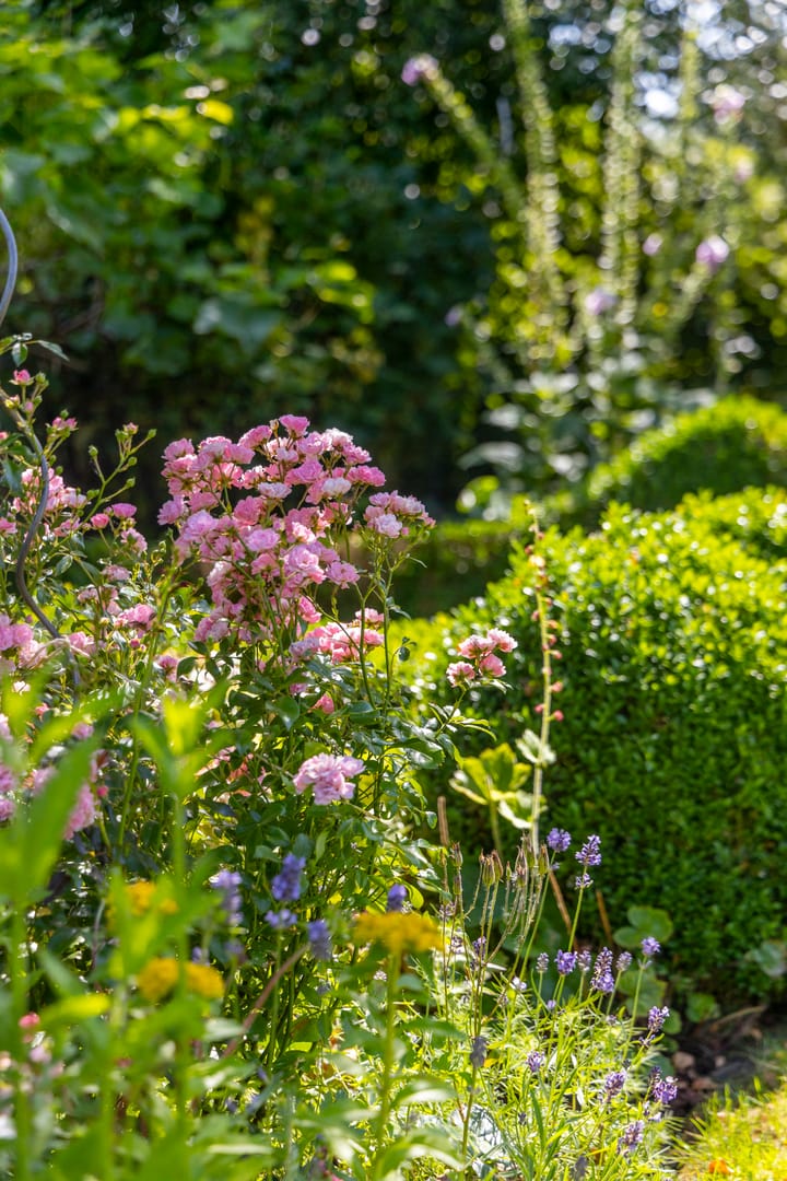 Foto 50 van Sluis 57