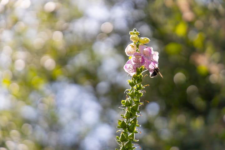 Foto 51 van Sluis 57