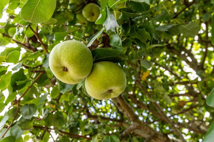 Foto 41 van Prof. Jan Bronnerlaan 192