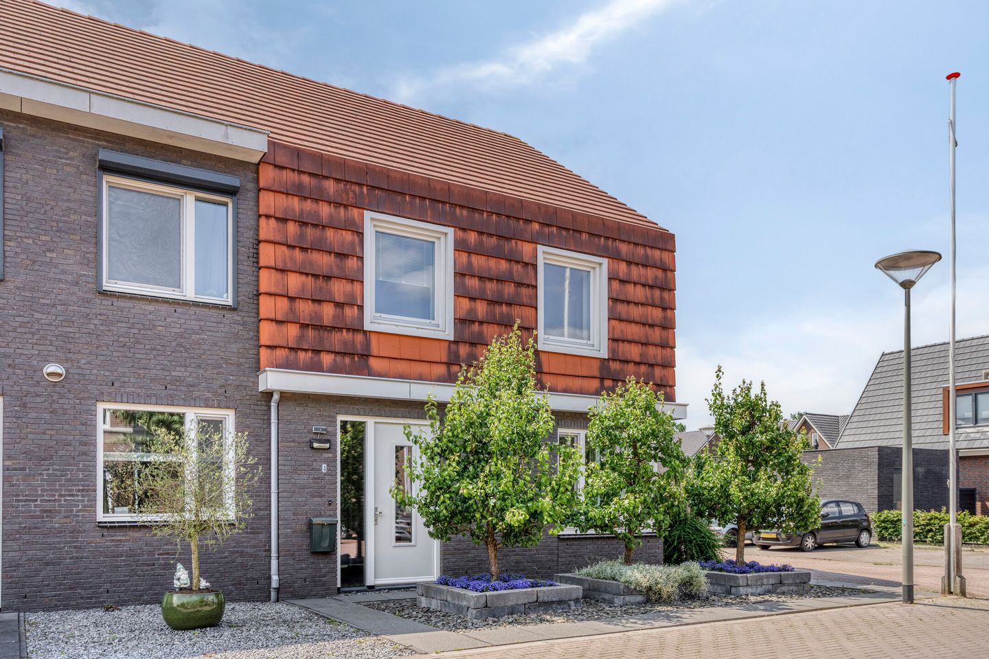 Foto 5 van Goudreinette 4