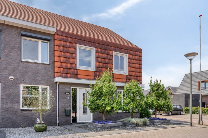 Foto 5 van Goudreinette 4