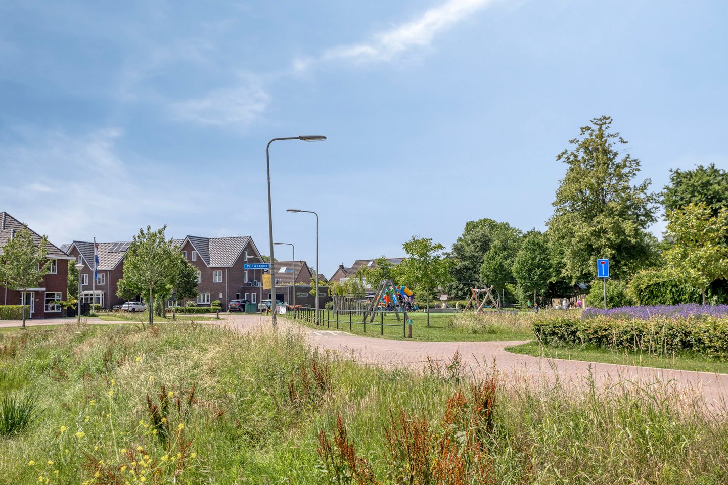 Foto 40 van Goudreinette 4