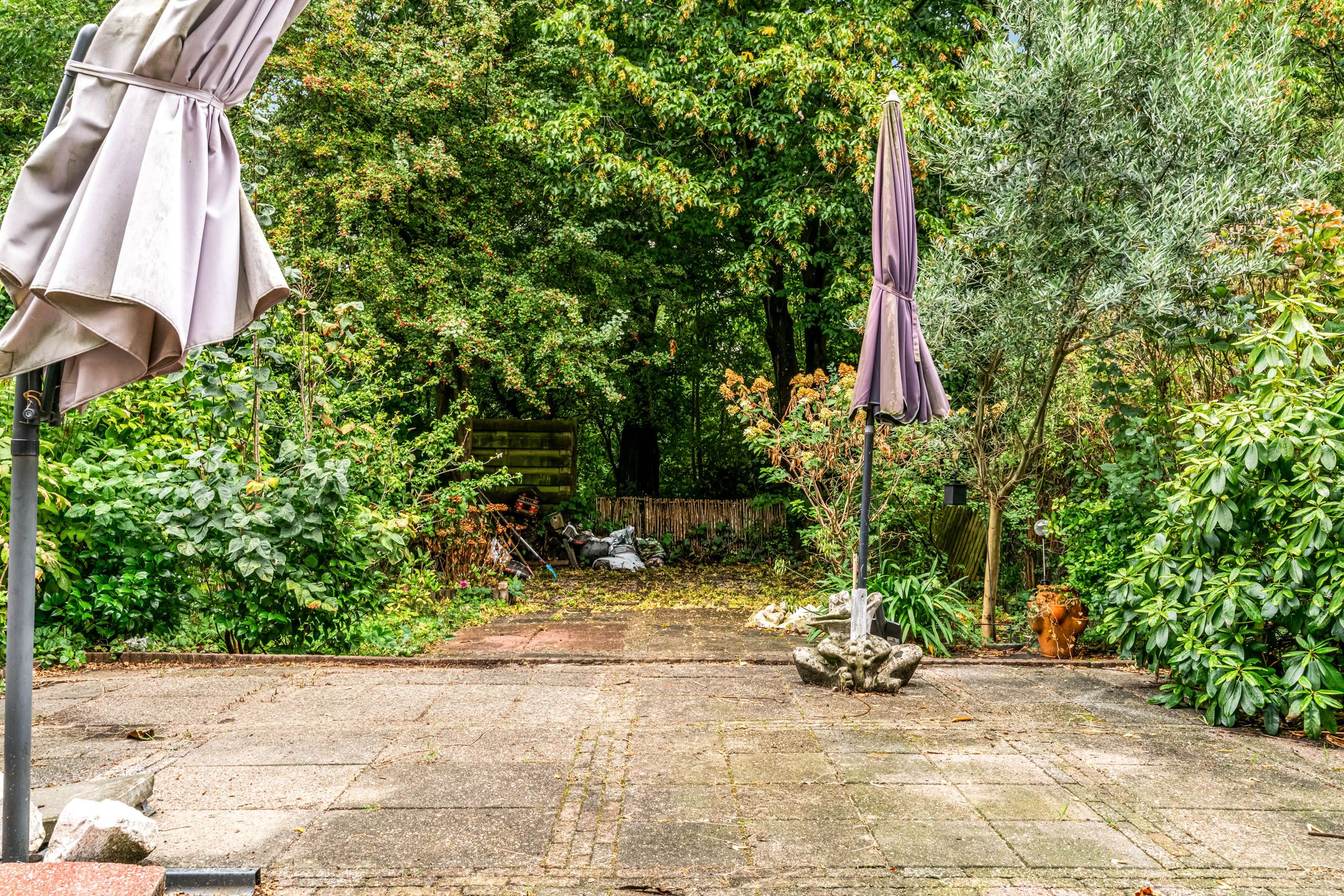 Photo 6 of Elzendreef 653