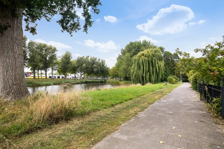 Photo 32 of Graan voor Visch 15815