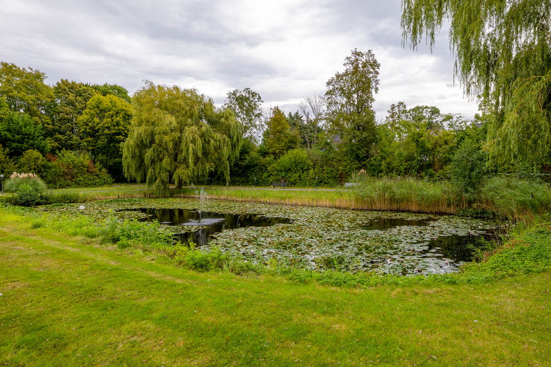 Photo 31 of Staakweg 139