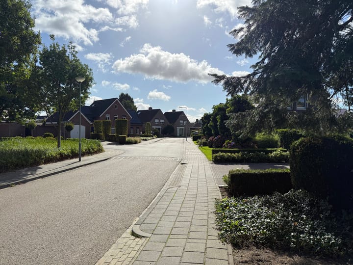 Foto 6 van Boschlaan