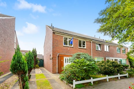 undefined main image