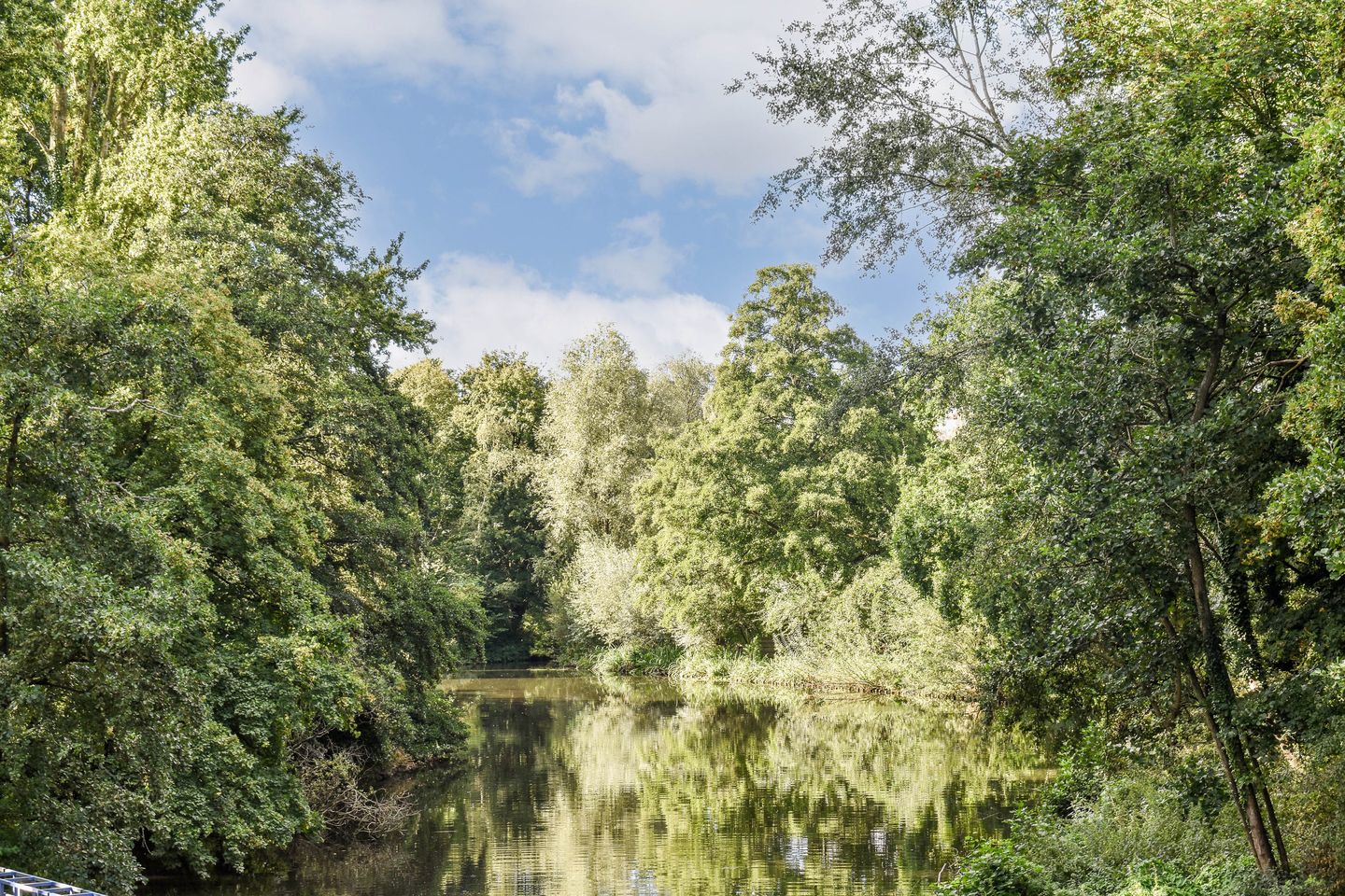 Foto 25 van Orteliusstraat 225-1