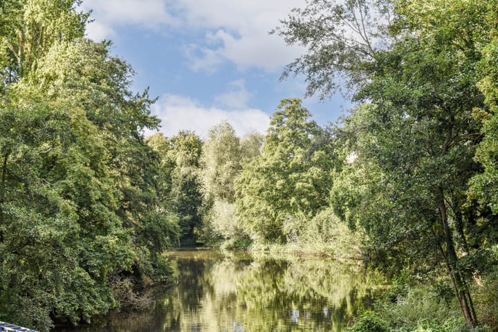 Foto 25 van Orteliusstraat 225-1