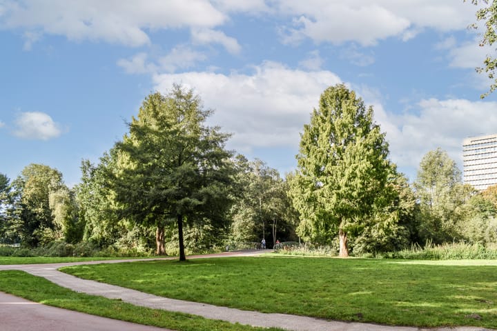 Foto 26 van Orteliusstraat 225-1