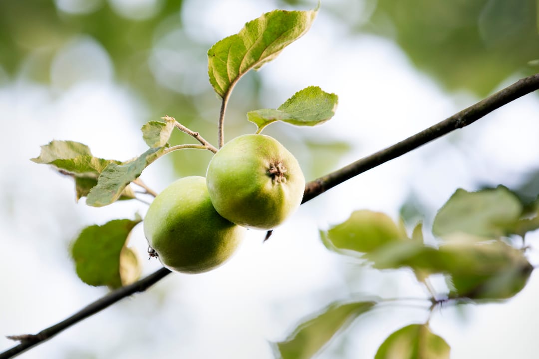 Foto 31 van Sint Josephstraat 76