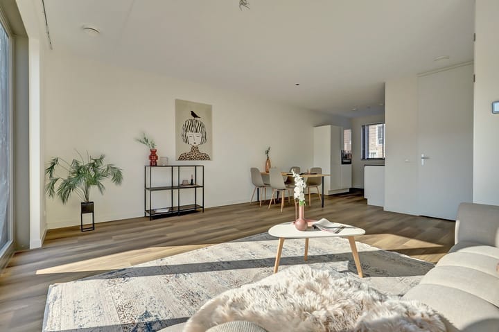 Foto 15 van Silenus 50